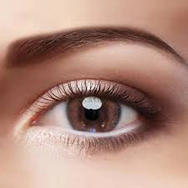 I-see Vision 3 Tone Rouge Brown 2 Pieces