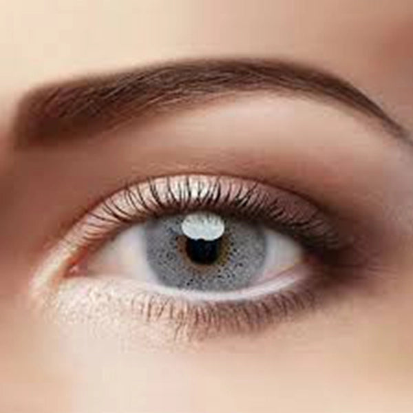I-see Vision 3 Tone Grege Gray 2 Pieces