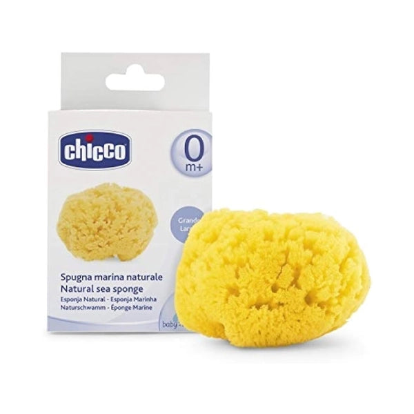 Chicco Safe Hygiene Caribbean Sponge Medium