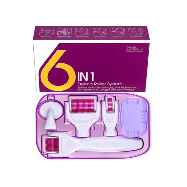 Derma Roller System 6 In 1
