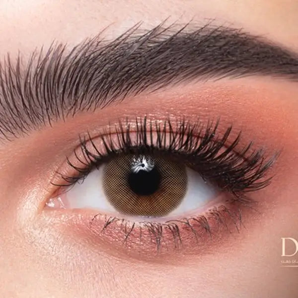 Dahab Daily Soft Contact Lenses Lumirere Brown (17)