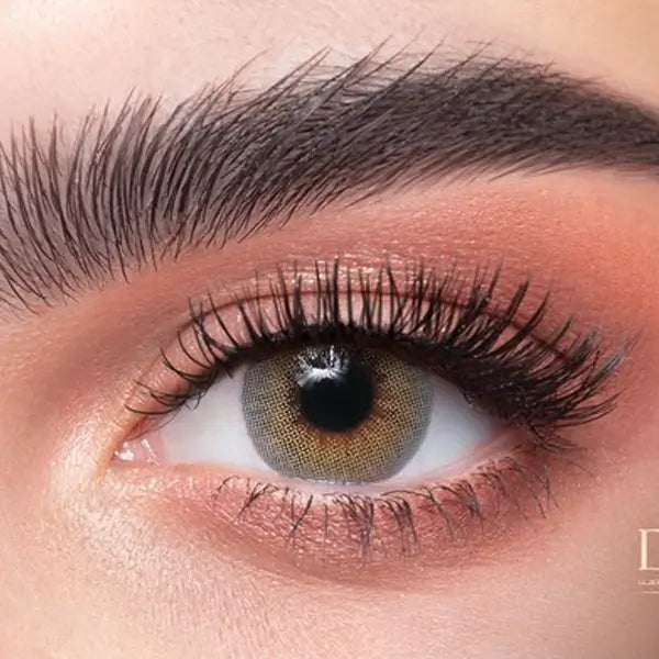 Dahab Daily Soft Contact Lenses Smokey (25)