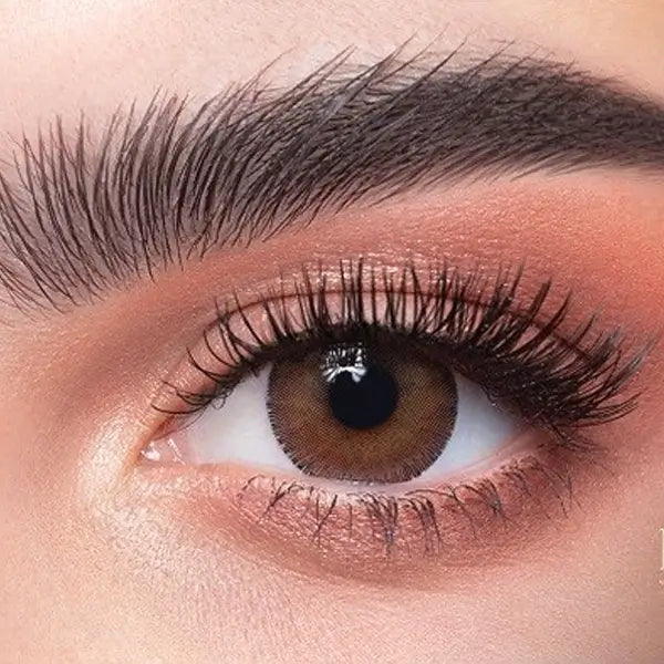 Dahab Daily Soft Contact Lenses Argan (p2)