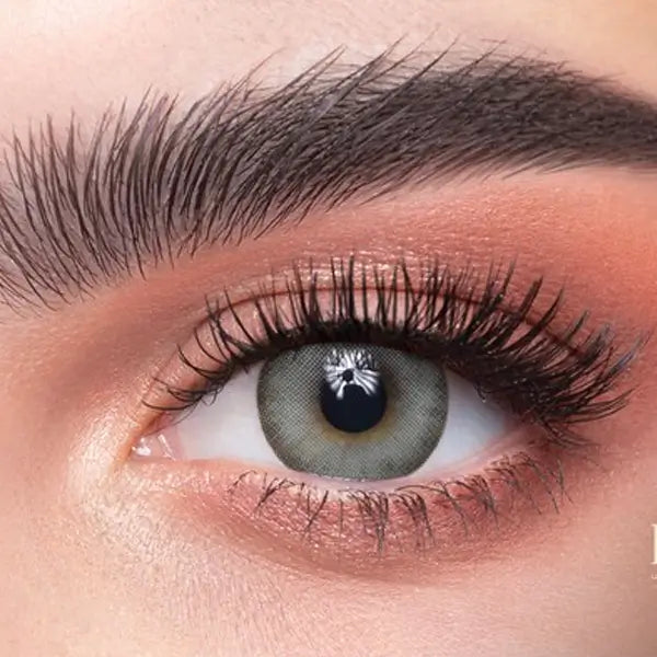 Dahab Daily Soft Contact Lenses Khaki (p8)