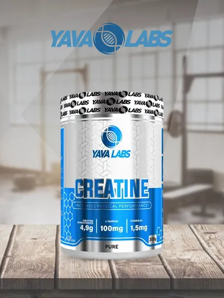 نص بديل للصورة